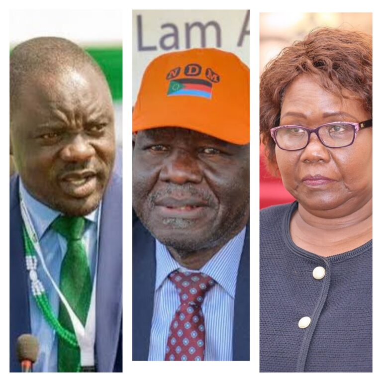 SSOA rejects unilateral amendments to peace agreement, electoral laws